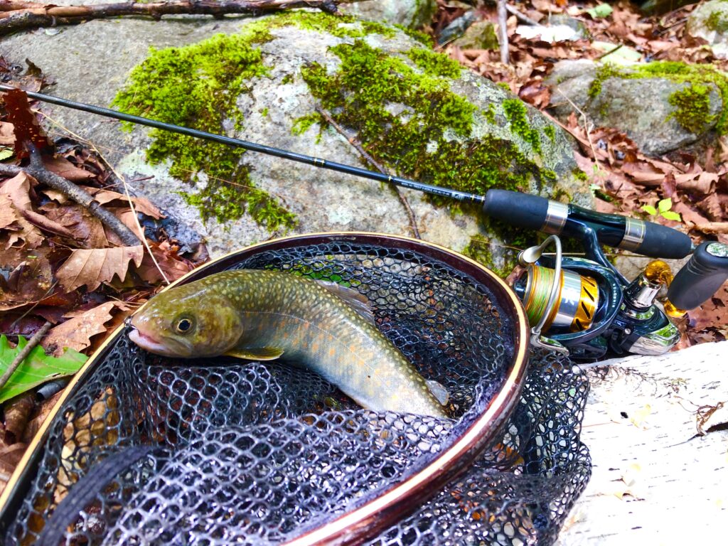 金峰渓谷 渓流釣り 田舎暮らし